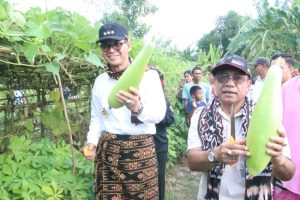 Pj. Gubernur Andriko Susanto Serahkan Bantuan Benih bagi Petani